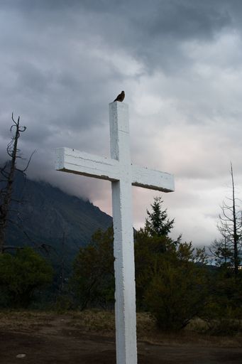 A vertical shot of a little bird sitting on a white wooden cross