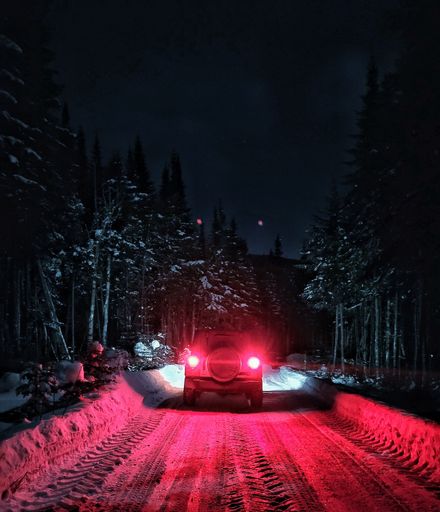 A vertical shot of a car driving in the forest at night
