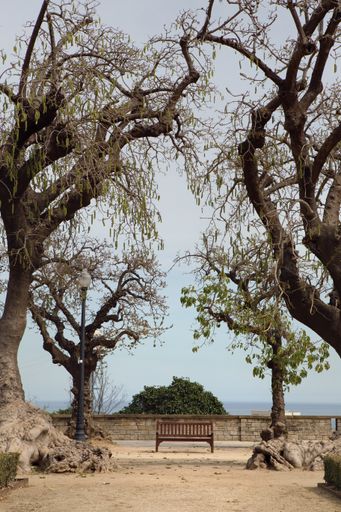 A vertical shot of a wooden bench surrounded by trees in a park in Barcelona, Spain