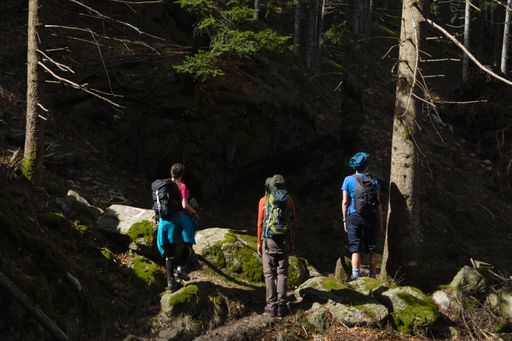 A group of friends with backpacks  hiking in the woods