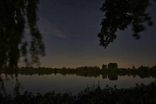The reflection of trees on the lake at night