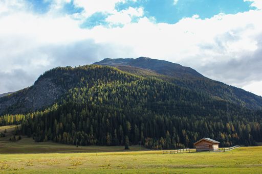 A beautiful view of a forest on a hill with a small house in the foreground