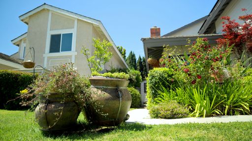 A low angle shot of a front lawn garden on a sunny day