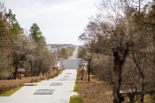 A beautiful view of stairs between big trees on the side of it and a wall at the end in China