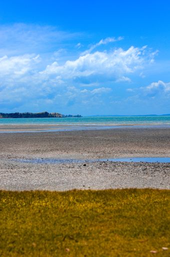 a vertical shot of Kawakawa Bay, Auckland Central, New Zealand.