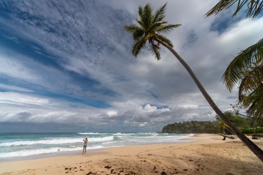 A girl with palms at the beach of Playa Grande Rio San Juan under cloudy sky, Dominican Republic