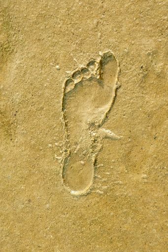A vertical shot of a footprint in the sand on a beach