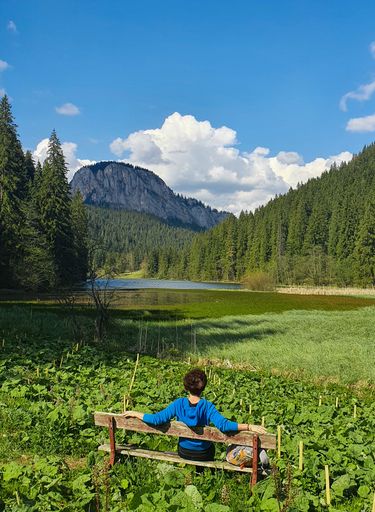 A female sitting on the bench and looking at the beautiful green forests near the mountain