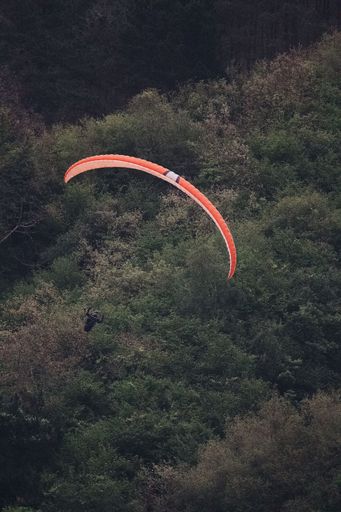 A vertical shot of the paraglider against the green vegetation.