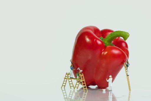 A team of painters with a ladder and scaffolding are painting a red pepper isolated on a white background