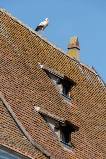 A vertical shot of a white stork perched on top of a building against a blue sky