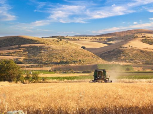 Combine harvester, wheat harvest, in a plain of Larissa. Greece