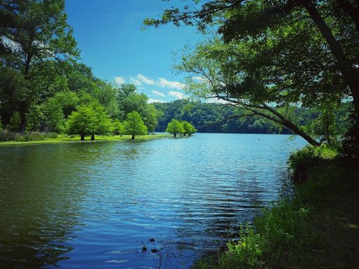 A mesmerizing view of a beautiful lake surrounded with green trees and plants under cloudy sky
