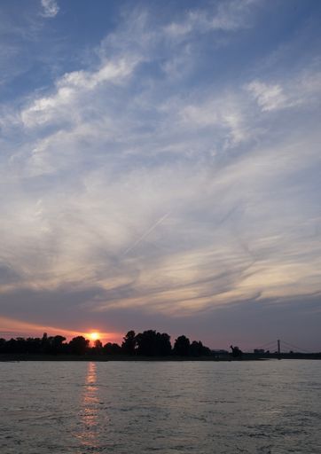A vertical shot of a sunset behind trees and cloudy sky with sea on the foreground