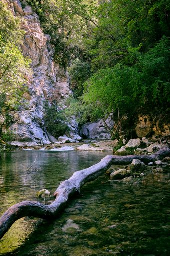 A vertical shot of the beautiful view of the lake and forest in Arche de Ponadieu wildlife park, located in Alpes Maritimes, France