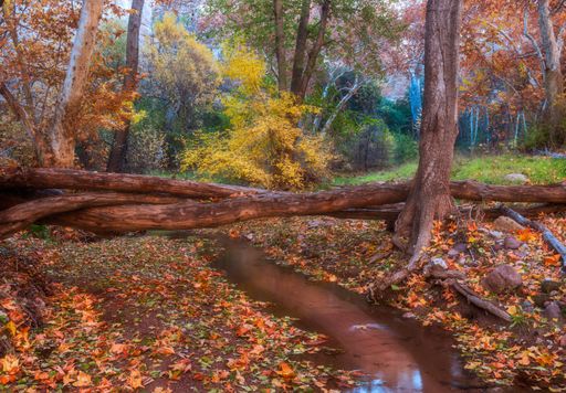 A beautiful landscape of Aravaipa Canyon, Arizona - perfect for wallpaper