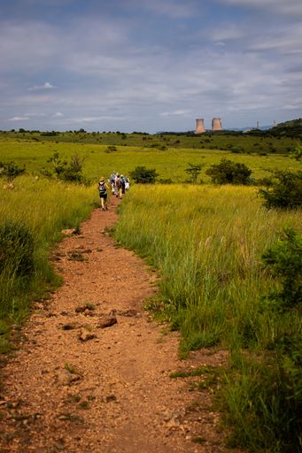 A vertical shot of a group of tourists walking through a path between green fields