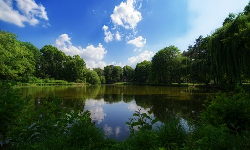 A beautiful scene of the lake reflecting the forest and some fluffy clouds in the sky