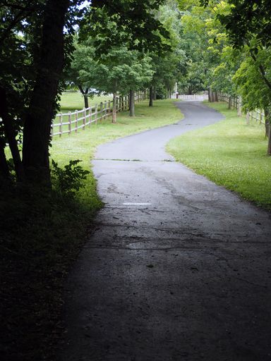 A vertical shot of a curvy road leading through a park