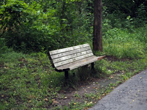 An old abandoned wooden bench in a park surrounded by plants