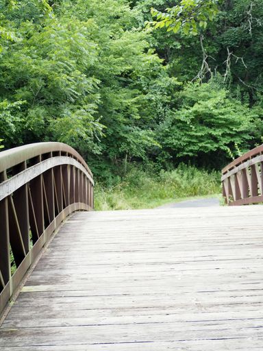 A vertical shot of a small wooden bridge in a park