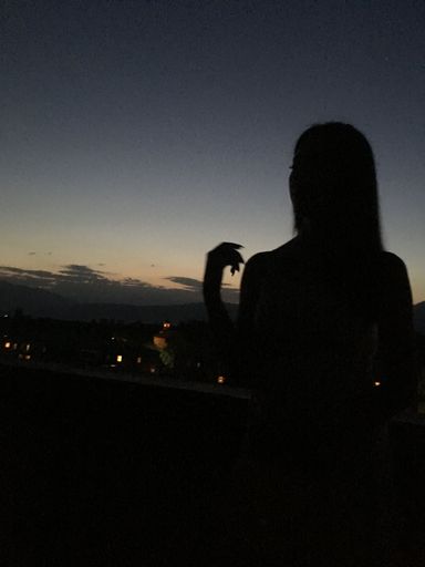 A vertical silhouette shot of a female standing on the night view of the city during sunset