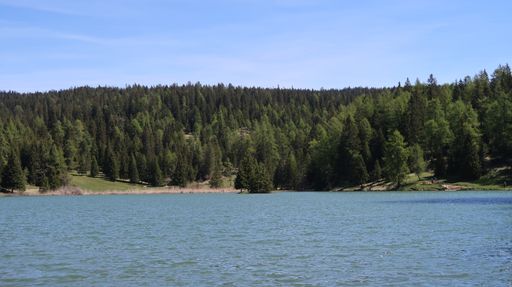 A sunny scenery of a beautiful lake near a forest