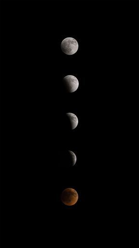 A vertical view of Lunar Eclipse phases isolated on a black background