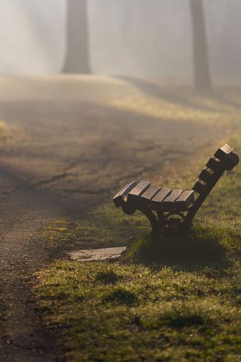 A vertical shot of a wooden bench in a foggy misty forest