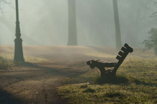A wooden bench in a foggy misty forest