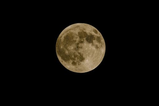 The macro shot of pale full moon isolated in the dark sky