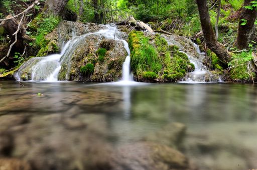 A scenic view of a small waterfall flowing over rocks covered with moss and plants in the forest
