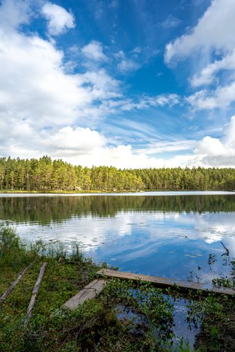 A vertical shot of blue lake in background of dense woods