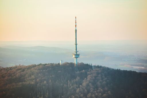 A scenic view of a tower in the middle of the forest during sunset in Germany
