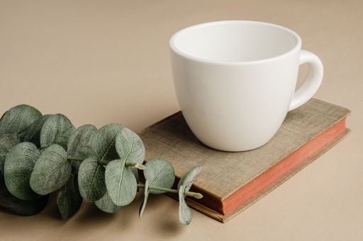 A closeup of a white cup placed on a book with a decorative plant on the side