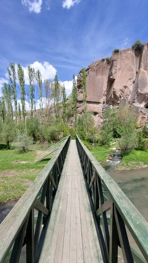 A vertical shot of a boardwalk with a mountain in the background