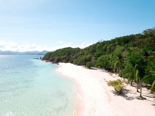 An aerial shot of a sandy beach and tropical trees surrounded by clear water