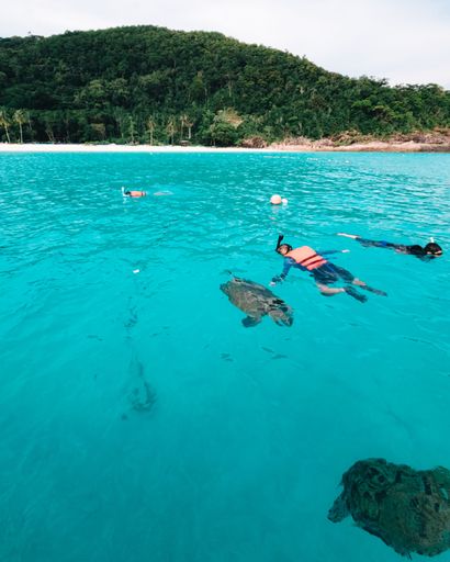 A vertical shot of tourists snorkeling together with the turtles in Pulau Redang