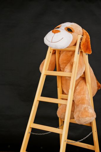 A vertical shot of a teddy bears on ladder