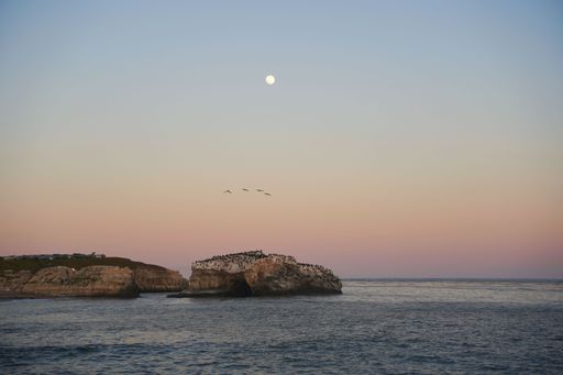 A scenic view of birds flying in the sunset sky above rocky cliffs surrounded by the vast ocean
