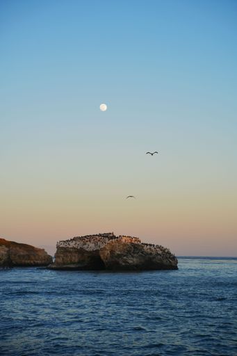 A vertical shot of birds flying in the sunset sky above rocky cliffs surrounded by the vast ocean
