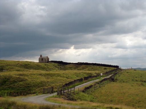 A beautiful shot of a field surrounding a narrow road under the cloudy sky