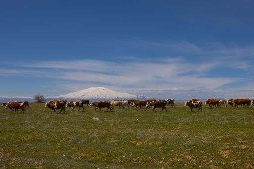 View of Mount Ararat from Mount Tendurek.nTurkey / Mountains Landscape .