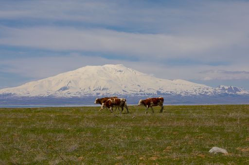 View of Mount Ararat from Mount Tendurek.nTurkey / Mountains Landscape .