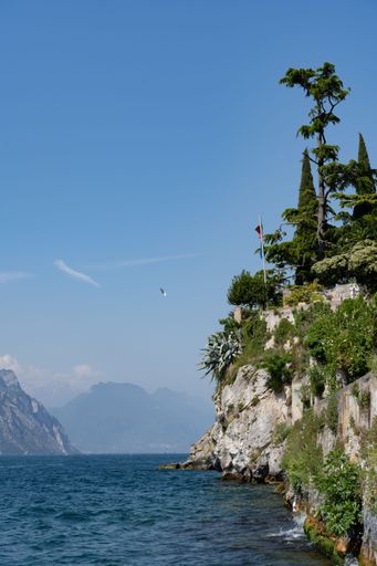 A scenic view of the wild plants and trees on the cliffside of Lake Garda with mountains on the horizon against blue sky in bright sunlight, Italy