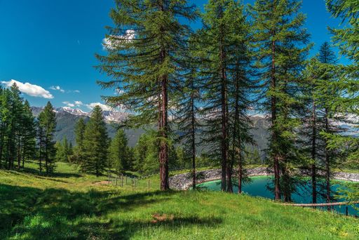The beautiful mountains in summer with shadows of clouds on them