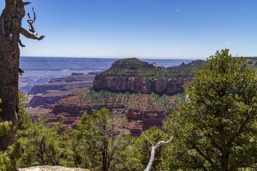 A beautiful aerial view of the Grand Canyon National Park Grand in USA