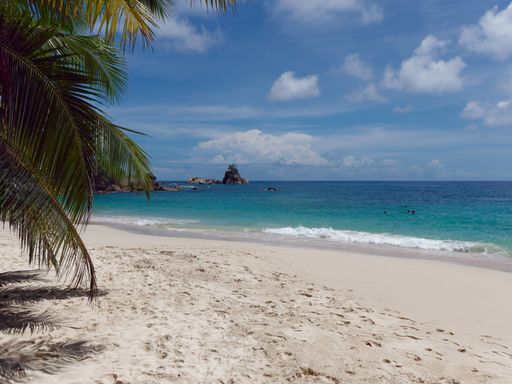 A scenic view of Anse Takamaka beach with palm trees and turquoise ocean with cliffs in the background
