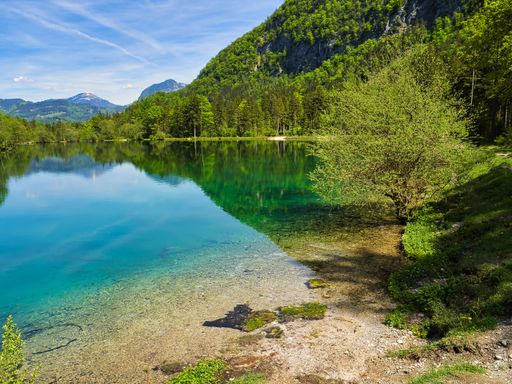 A view of the Bluntausee lake shore surrounded with trees on a sunny day in Salzburg, Austria