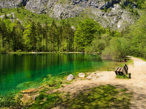 A view of a banch on the shore of the Bluntausee lake with a beautiful view of trees and mountains in Salzburg, Austria